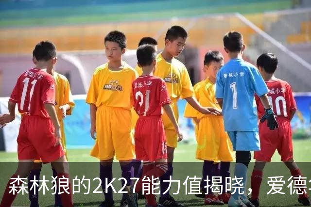 森林狼的2K27能力值揭晓，爱德华兹引发热议！