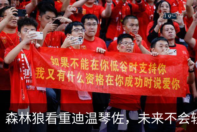 森林狼看重迪温琴佐，未来不会轻易放人
